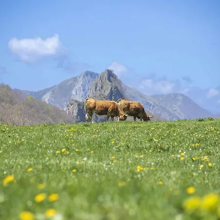 Casa Noval Zona Rural En El Centro De Asturias * Bimenes